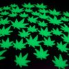 50 Piece Glow in The Dark Marijuana Weed Pot Leafs - Image 3
