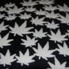50 Piece Glow in The Dark Marijuana Weed Pot Leafs - Image 5