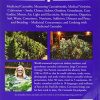 The Cannabis Encyclopedia - Image 3